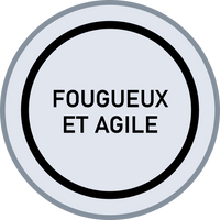 Fougueux et agile