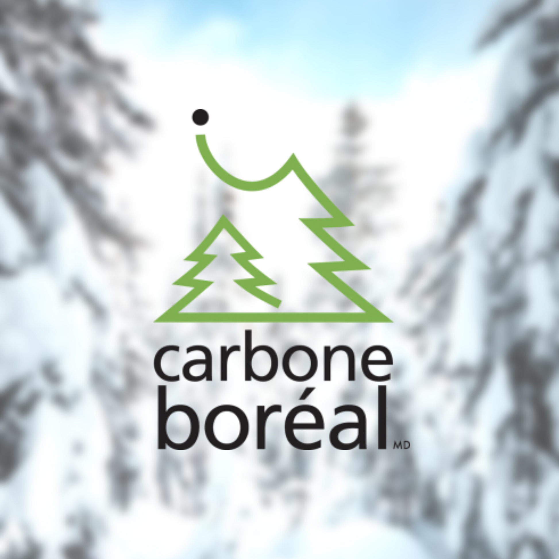 Compensation carbone