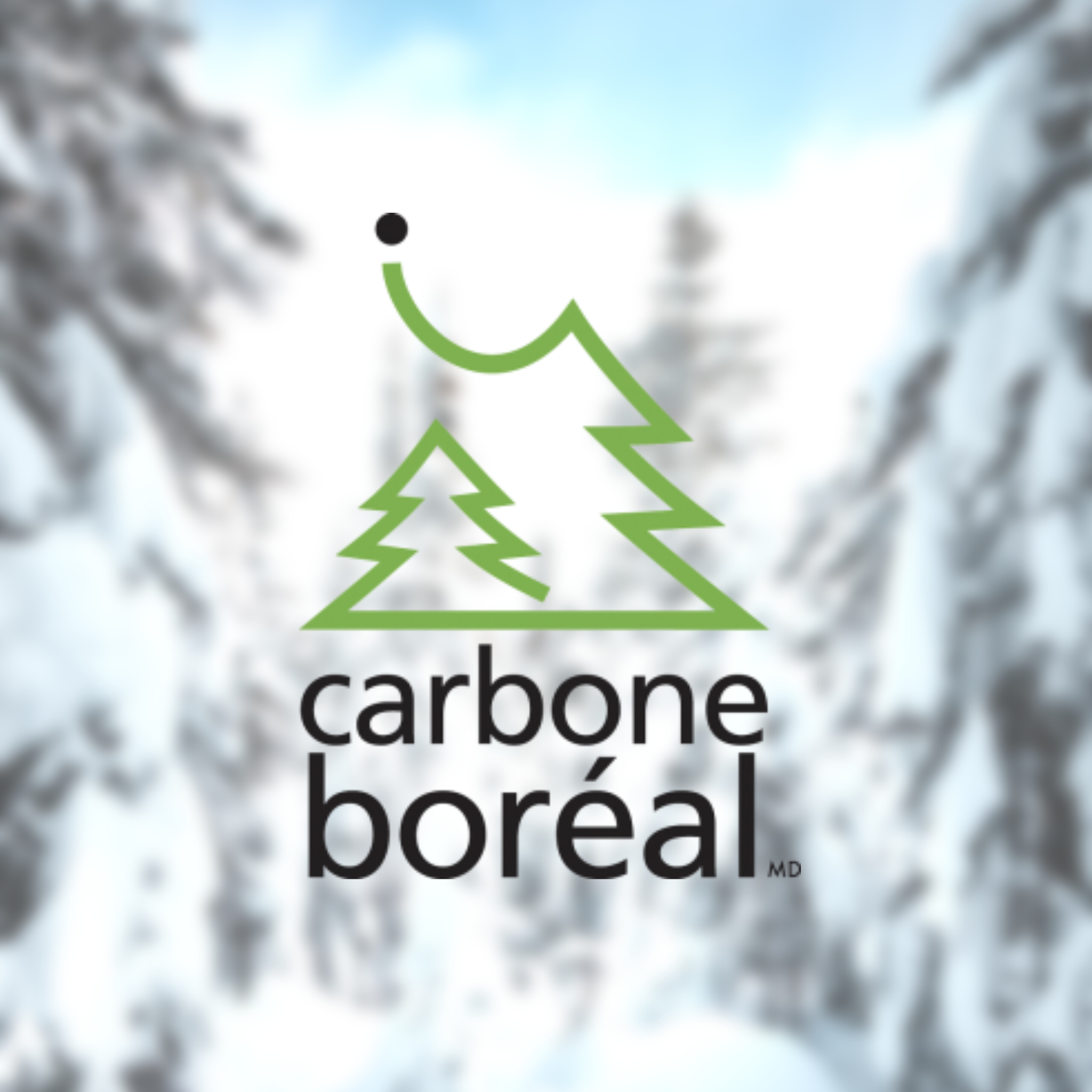 Carbon offsetting